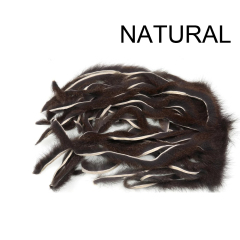 BTI-09D-4013 Pine Squirrel Stripes