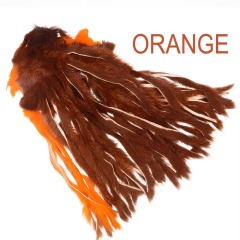 BTI-09D-4013 Pine Squirrel Stripes