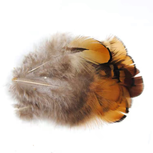 BTI-09D-4017 Pheasant Feather