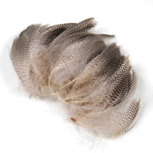 BTI-09D-4021 Mallard Flank Feather