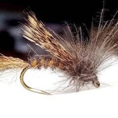 BTI-09D-4019 Coq De Leon Feather