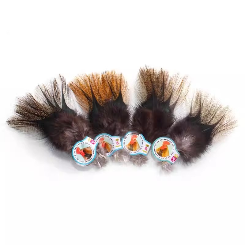 BTI-09D-4019 Coq De Leon Feather