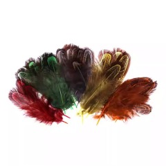 BTI-09D-4020 Patridge Hen Feather