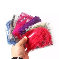 BTI-09D-4018 Emu Feather