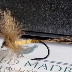 BTI-09D-4019 Coq De Leon Feather