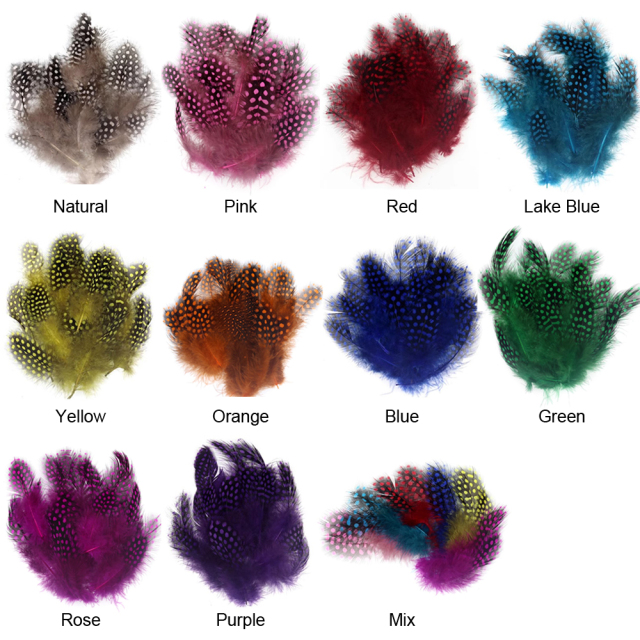 BTI-09D-4030 Guinea Feather