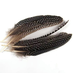 BTI-09D-4033 Natural Spotted Feather