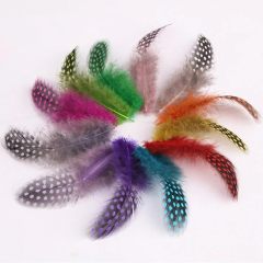 BTI-09D-4030 Guinea Feather