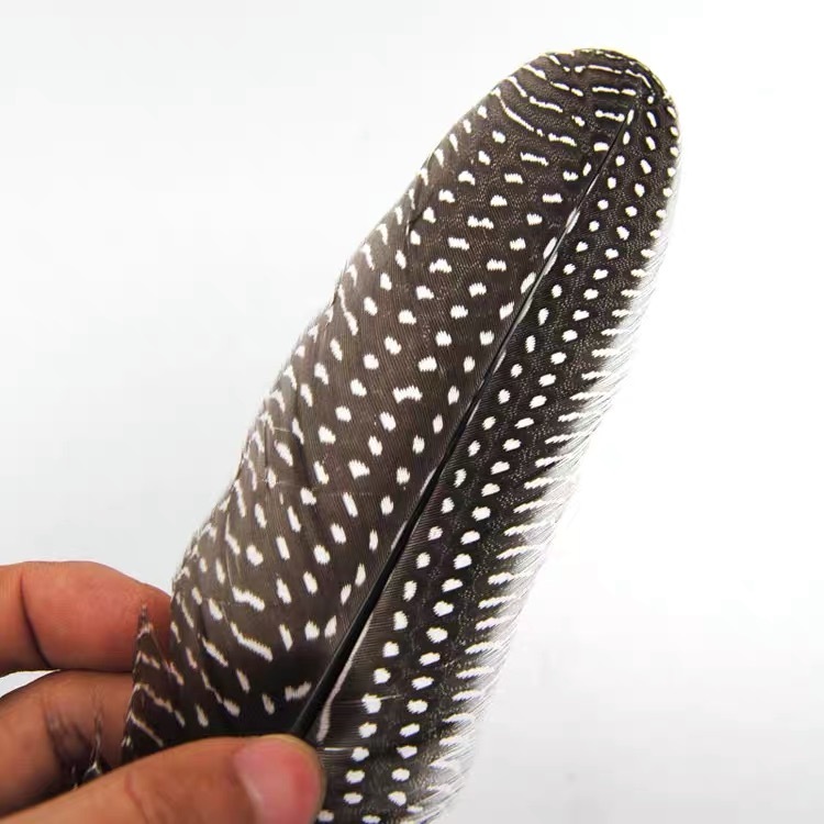 BTI-09D-4033 Natural Spotted Feather