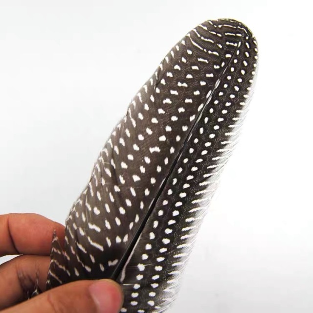 BTI-09D-4033 Natural Spotted Feather