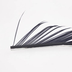 BTI-09D-4027 Turkey Biots Feather