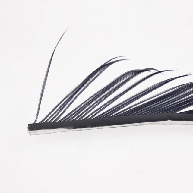 BTI-09D-4027 Turkey Biots Feather