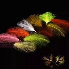 BTI-09D-4023 Cul De Canard Feather