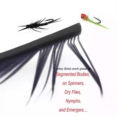 BTI-09D-4027 Turkey Biots Feather