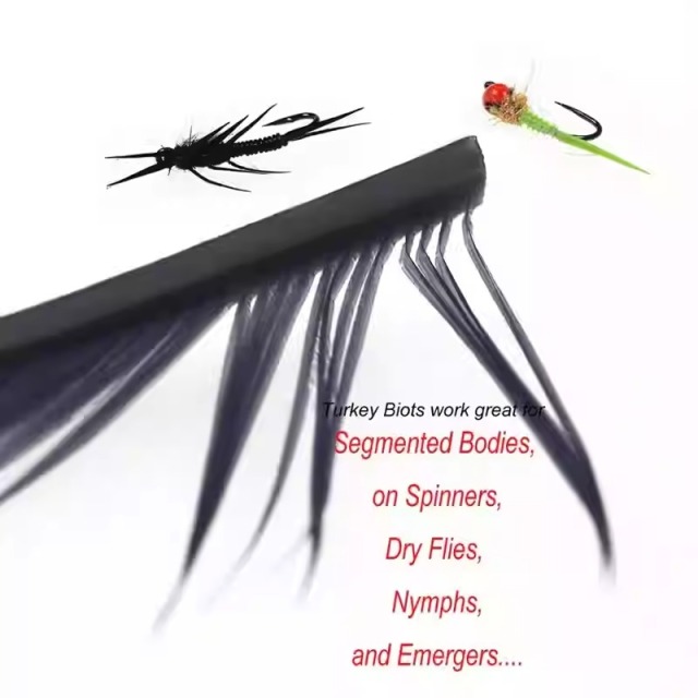 BTI-09D-4027 Turkey Biots Feather