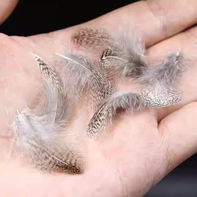 BTI-09D-4024 Partridge