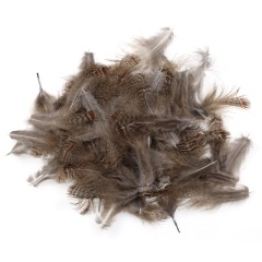 BTI-09D-4024 Partridge