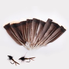 BTI-09D-4025 Turkey Tail Feather