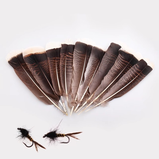 BTI-09D-4025 Turkey Tail Feather