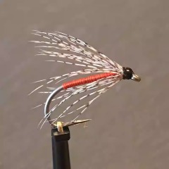 BTI-09D-4024 Partridge