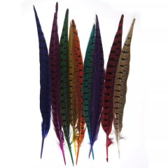 BTI-09D-4032 Pheasant Tail Feather