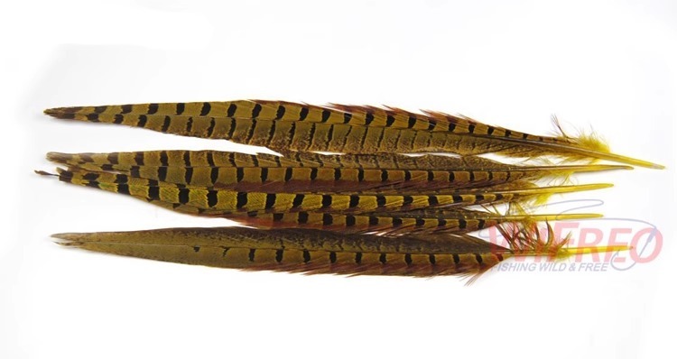 BTI-09D-4032 Pheasant Tail Feather