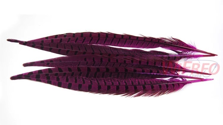 BTI-09D-4032 Pheasant Tail Feather