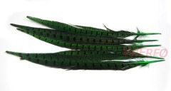 BTI-09D-4032 Pheasant Tail Feather