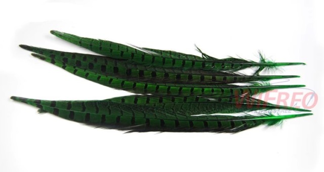 BTI-09D-4032 Pheasant Tail Feather