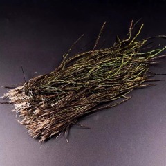 BTI-09D-4035 Natural Peacock Herl Feather