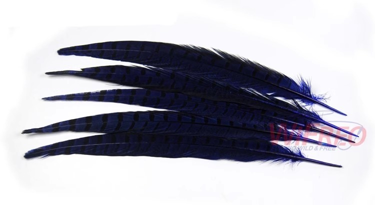 BTI-09D-4032 Pheasant Tail Feather