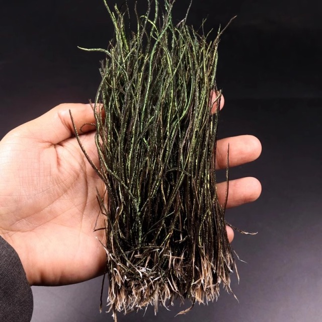 BTI-09D-4035 Natural Peacock Herl Feather