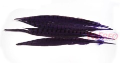 BTI-09D-4032 Pheasant Tail Feather