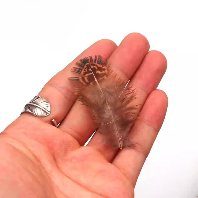 BTI-09D-4031 Natural Wild Chicken Back Feather