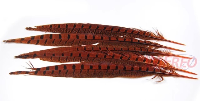 BTI-09D-4032 Pheasant Tail Feather