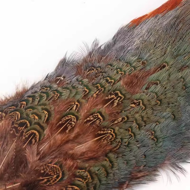 BTI-09D-4031 Natural Wild Chicken Back Feather