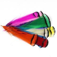 BTI-09D-4034 Natural Colorful Pheasant Feather