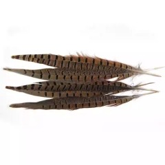 BTI-09D-4032 Pheasant Tail Feather