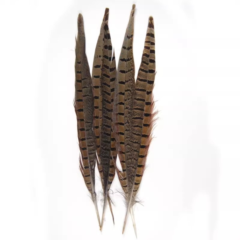 BTI-09D-4032 Pheasant Tail Feather