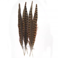 BTI-09D-4032 Pheasant Tail Feather