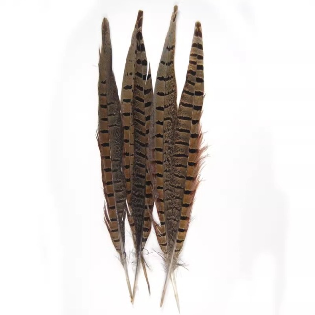 BTI-09D-4032 Pheasant Tail Feather