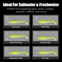 BTI-05D-089 T-Tail Ribbed Soft Plastic Fishing Lures