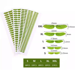 BTI-09D-5009 Realistic Fly Wings