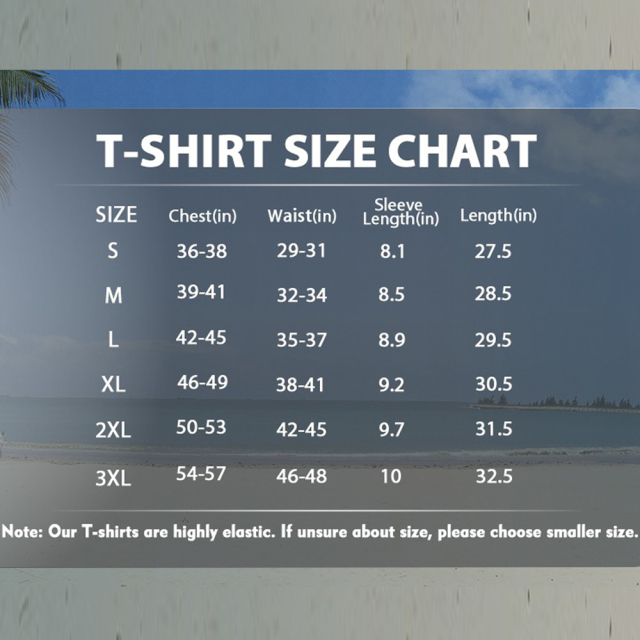 BTI-11E-102B Short Sleeve T-shirt Back Pattern Series