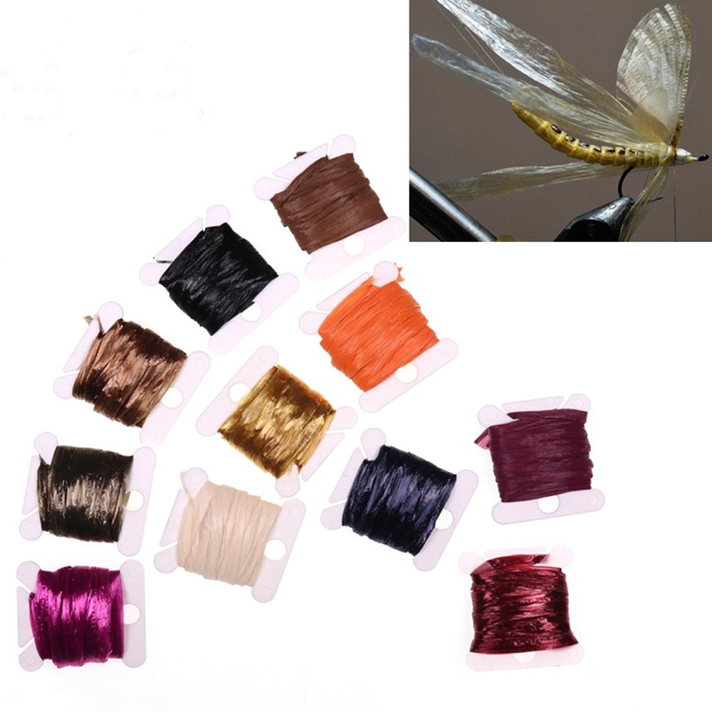 BTI-09D-1119 Insect Wing Case