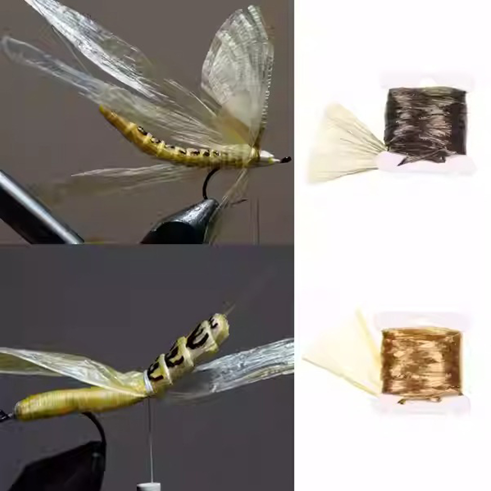 BTI-09D-1119 Insect Wing Case