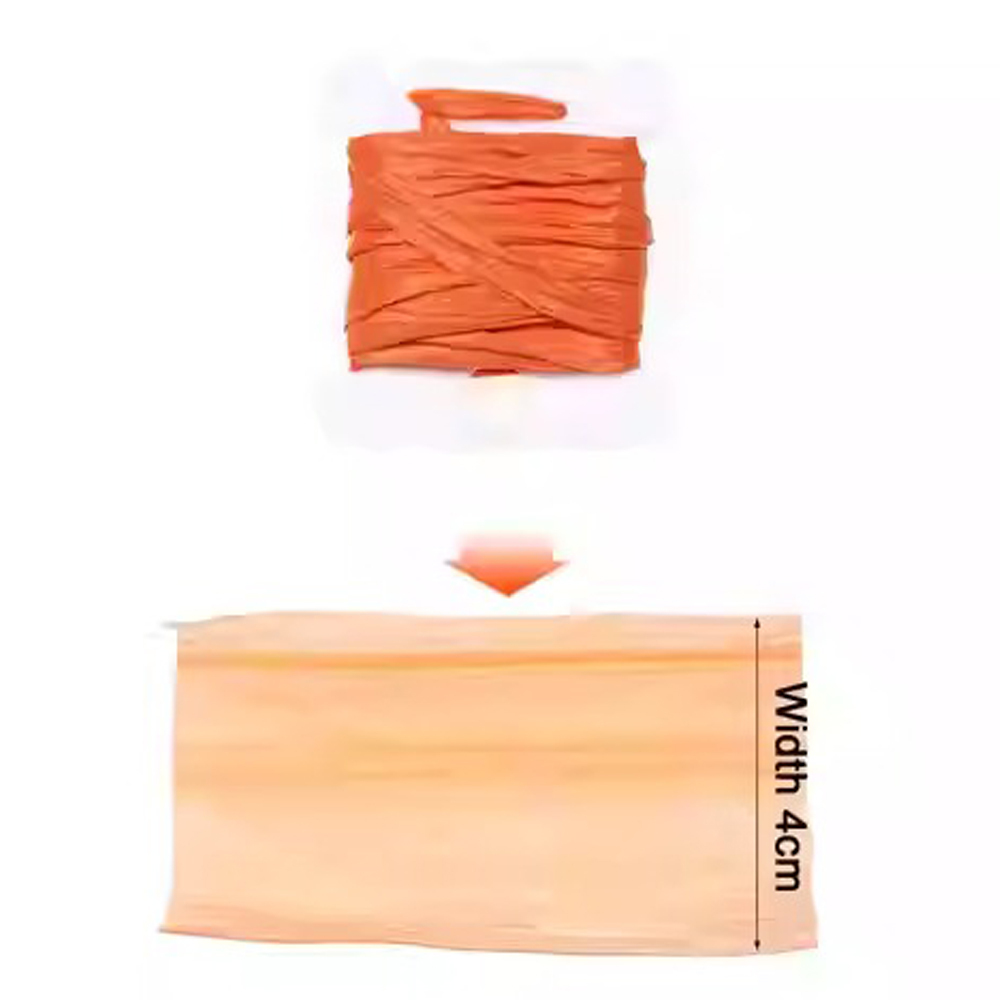 BTI-09D-1119 Insect Wing Case