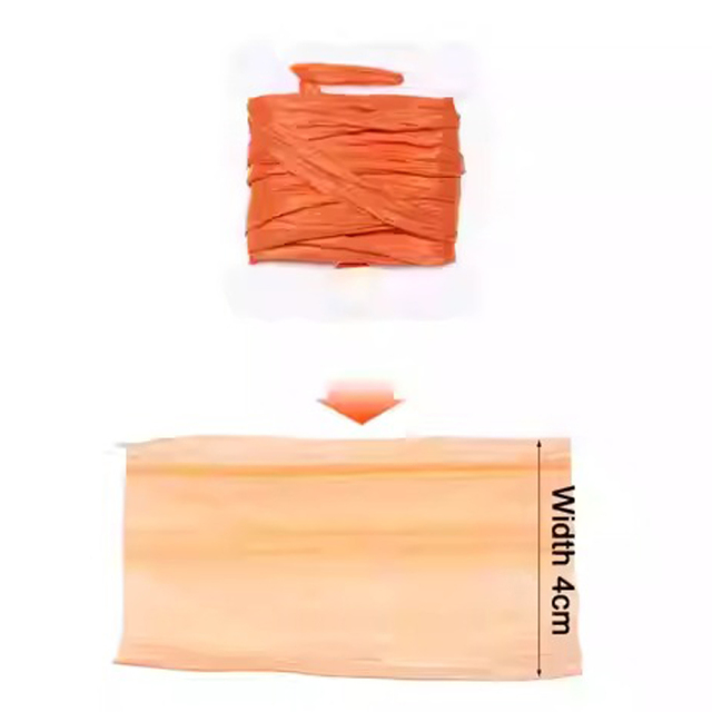 BTI-09D-1119 Insect Wing Case