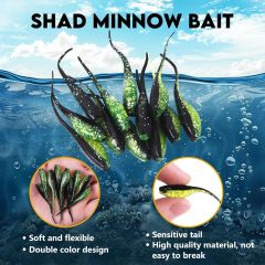 BTI-05D-102 Shad Minnow Soft Lure
