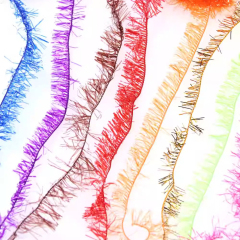 BTI-09D-1105,1125,1127,1152 Ice Chenille